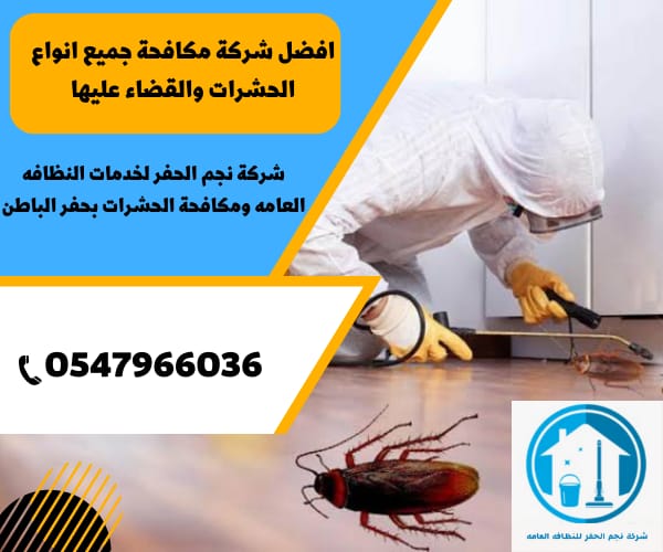 شركات رش الحشرات بحفر الباطن